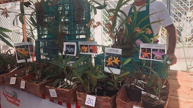 Segunda edição da Feira de Agricultura Familiar aconteceu em Araçatiba neste sábado (05/03)