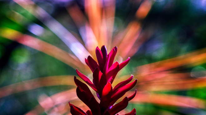 Exposição “Canto porque Resisto” abre agenda da Casa de Cultura de Maricá