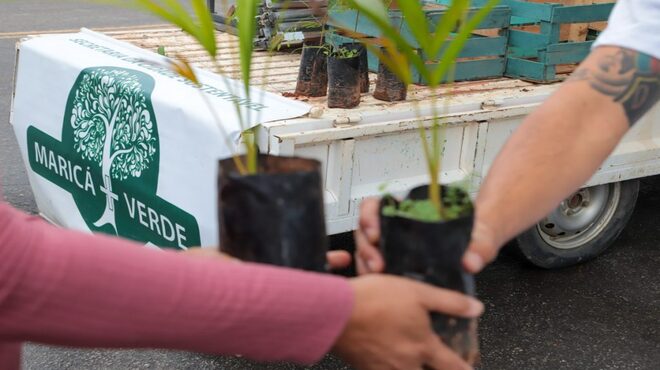 Prefeitura promove série de eventos para celebrar Dia Mundial do Meio Ambiente