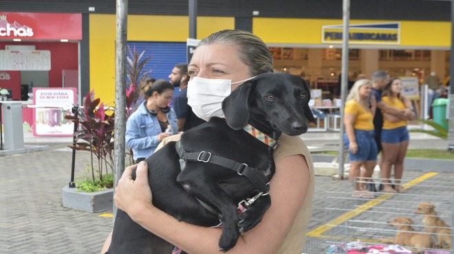 Doze cães e seis gatos ganham novo lar