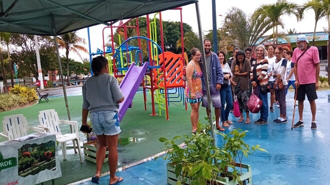 mudas em Ponta Negra