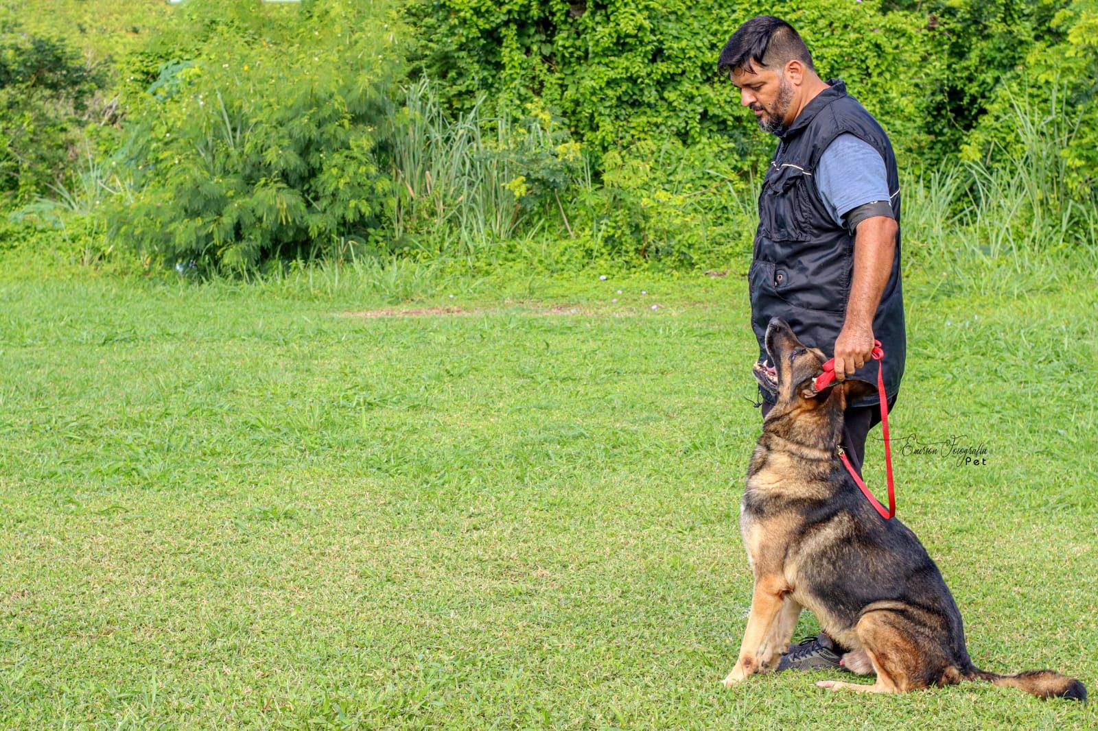 Maricá cria programa gratuito de inclusão social para cães