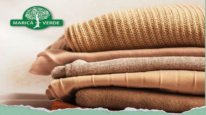 calendário de distribuição de mudas