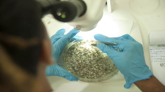 Equipe da Biotec visita instalações do Laboratório de Pesquisa e Inteligência Ambiental