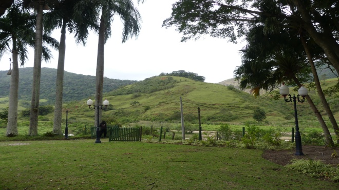 Laboratório da Biotec produzirá medicamentos naturais para pets