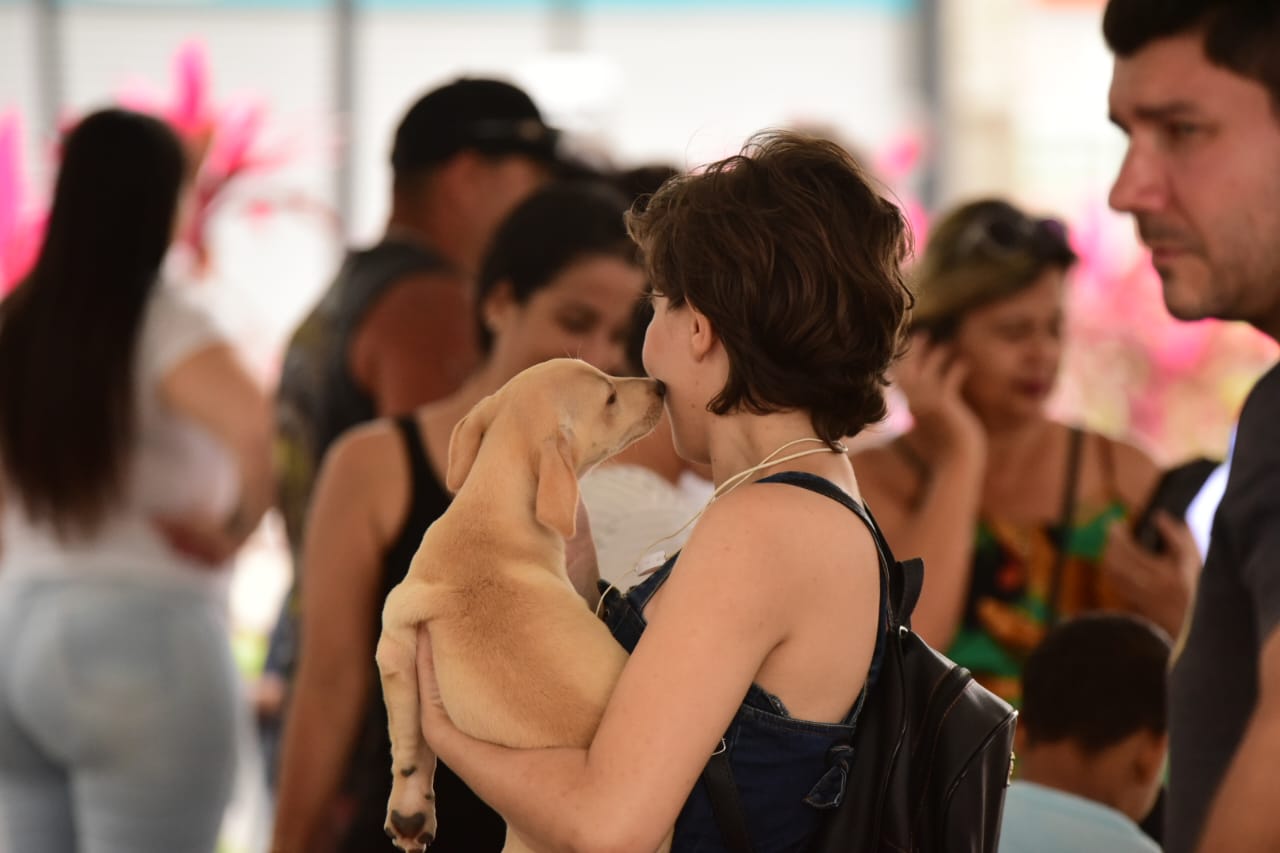 Treze animais ganharam novo lar em Maricá nesse domingo (16/10)