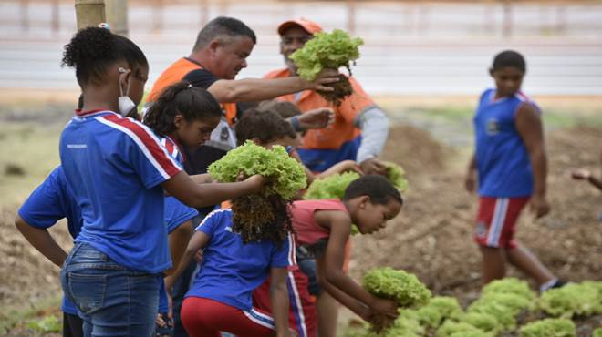 Horta Comunitária do Condado recebe visita de alunos da Escola Municipal Marisa Letícia Lula da Silva