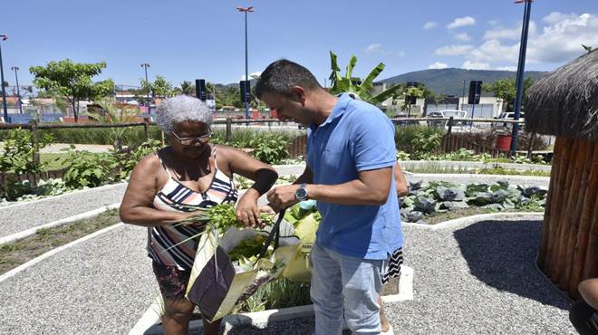 Horta comunitária do Parque Nanci tem a primeira colheita de 2023