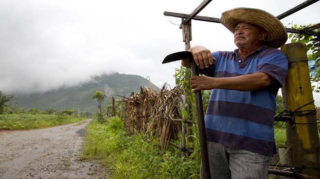 Podas da grama do sítio aeroportuário recebem novo descarte e função, aumentando a qualidade do solo e das plantações em bairro da cidade