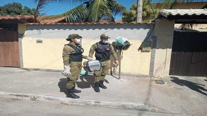 Guarda Municipal resgata gavião em Itaipuaçu