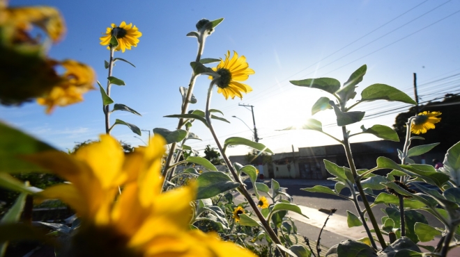 Maricá segue sem previsão de chuva até sexta-feira (22/12)