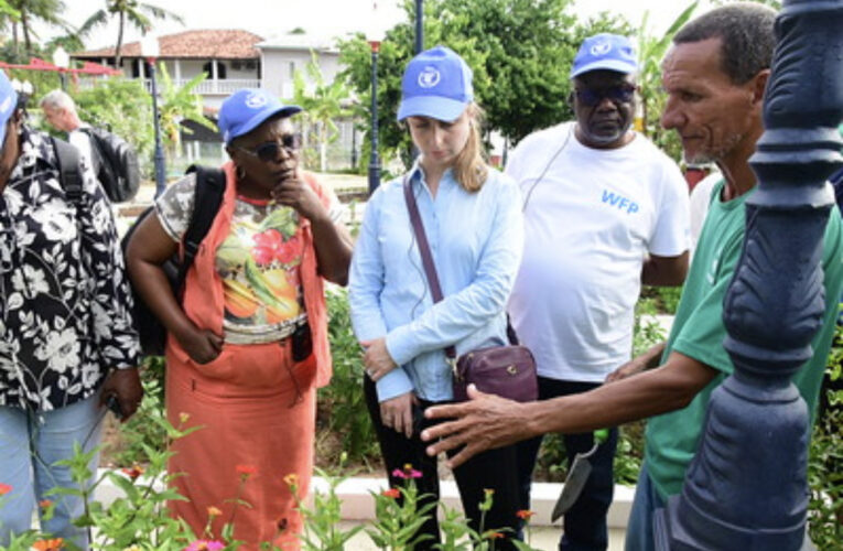 Comitiva do Congo visita fazenda pública Joaquín Piñero e Praça Agroecológica de Araçatiba