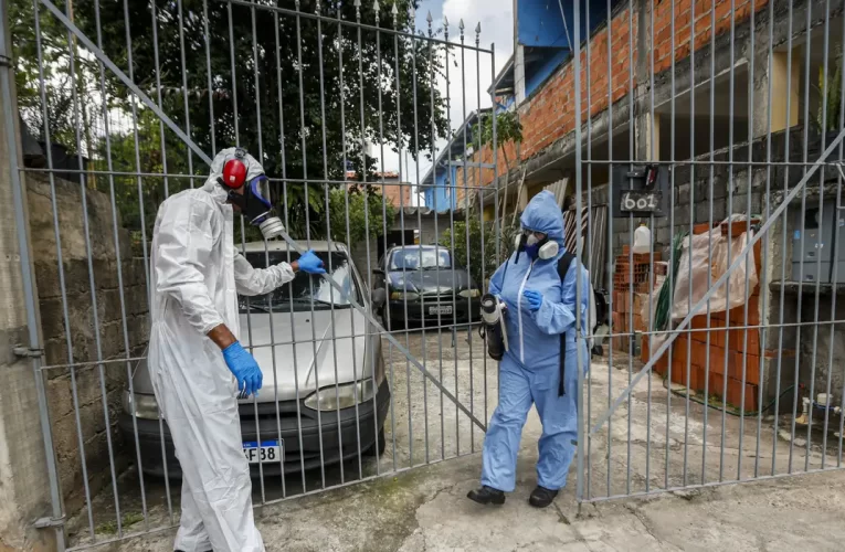 Dengue: boletim aponta tendência de queda dos indicadores no Rio