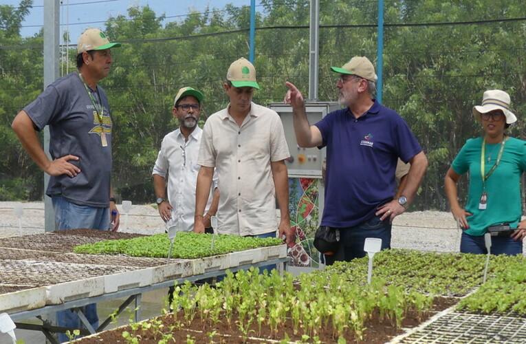 Prefeito visita fazenda orgânica da Codemar e vê oportunidades para mais desenvolvimento