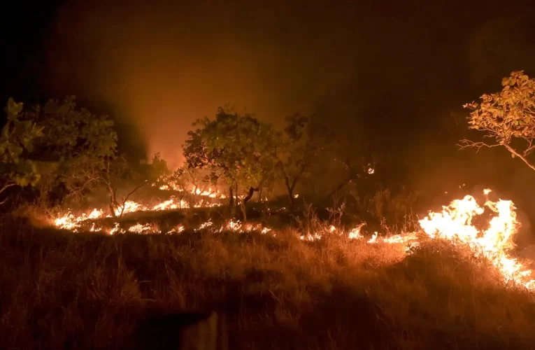 Seca faz incêndios em florestas maduras crescer 152% na Amazônia