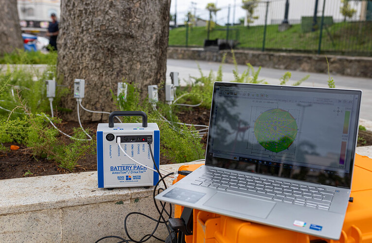 Maricá utiliza tomógrafo para avaliar saúde das árvores e evitar quedas