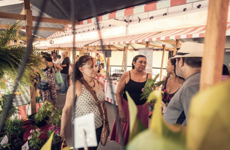 Prefeitura realiza primeira Feira da Agricultura Familiar no Centro