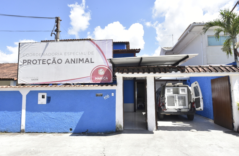 Proteção Animal tem novo número de atendimento