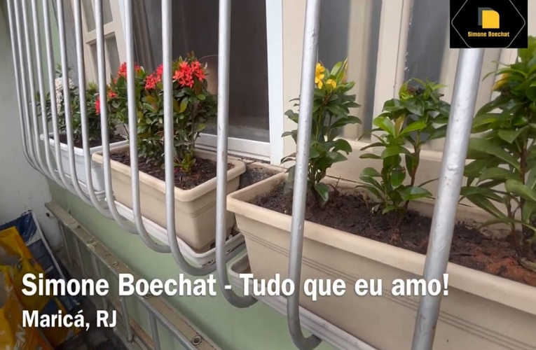 Mini ixoras – Pra não dizer que não falei das flores