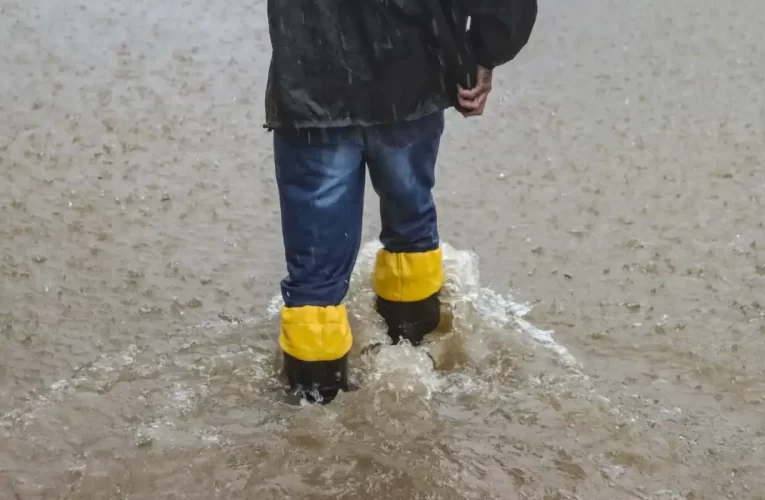 Mais duas mortes por leptospirose confirmadas no RS