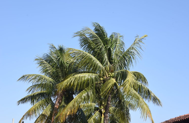 Defesa Civil informa: quinta-feira sem chuva em Maricá