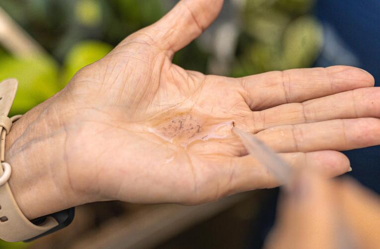 Maricá realiza ação intensiva de combate ao Aedes Aegypti