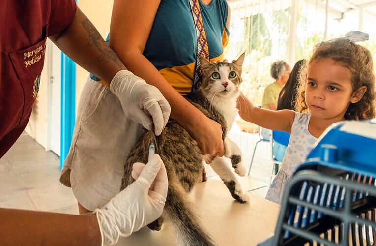 Maricá vacina mais de 22 mil animais contra a raiva