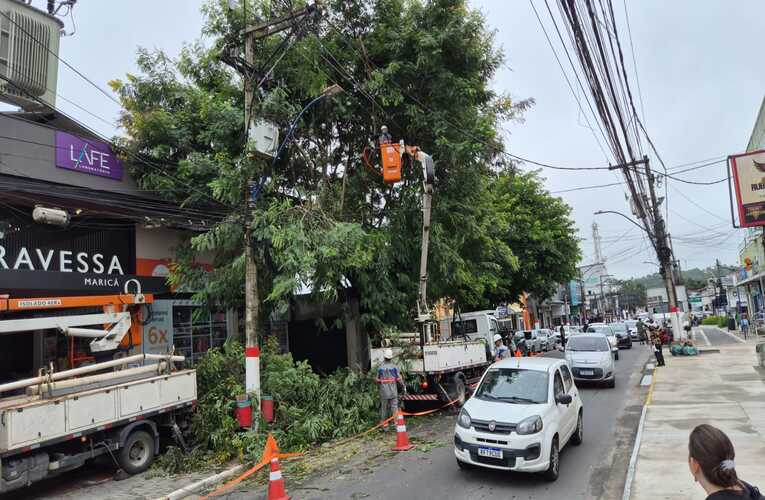 Poda de árvore interdita parcialmente via no Centro de Maricá