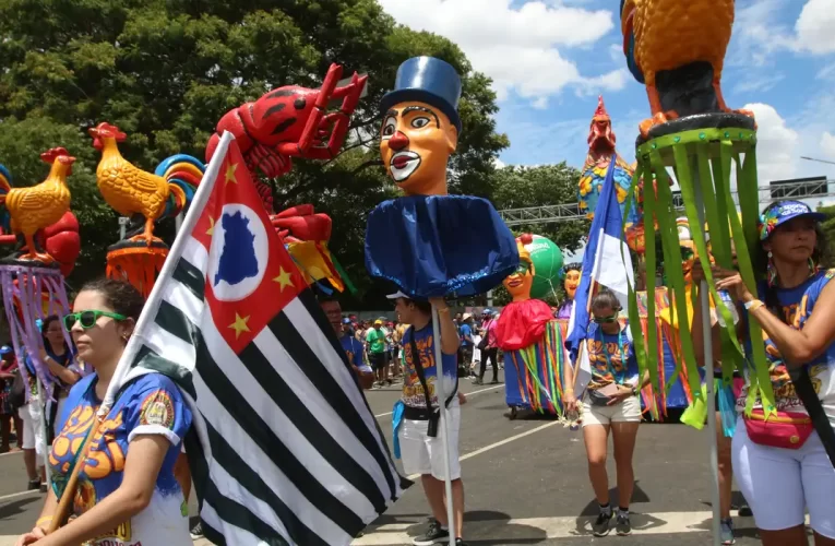 Carnaval de rua de São Paulo bate recorde, com 767 blocos inscritos