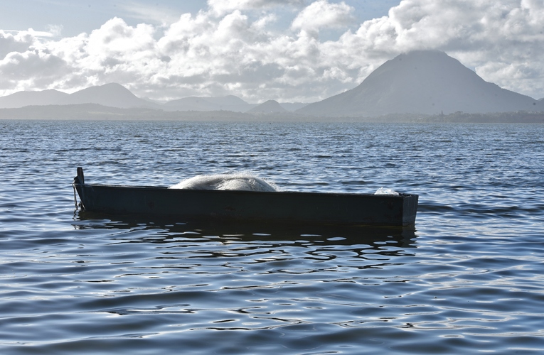 Previsão de chuva em Maricá até quarta-feira (08/01)