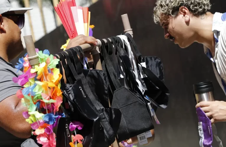 Filhos de ambulantes acolhidos por projeto social desfilam na Sapucaí