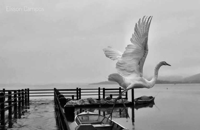 Semana com tempo chuvoso e alerta da Defesa Civil