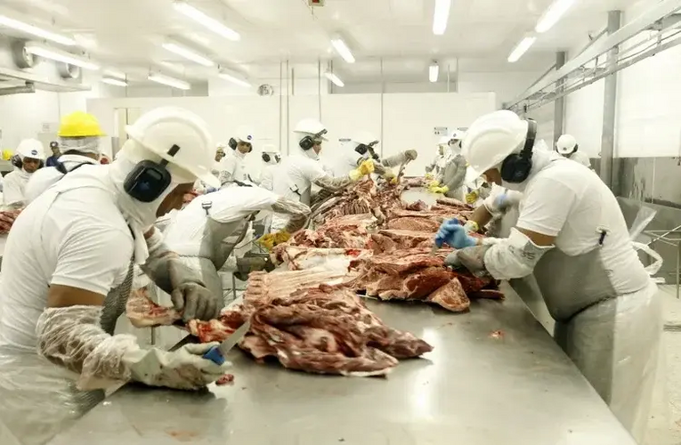 Criação de GT pelo governo federal reacende polêmica sobre privatização da inspeção agropecuária