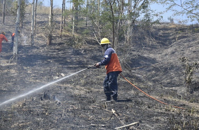 Crise climática em Maricá: proposta de brigada municipal une sociedade e poder público