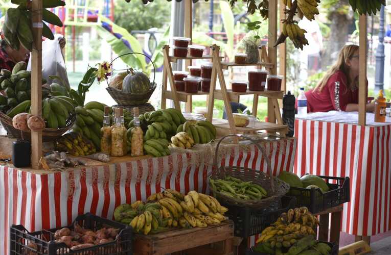 Feira Agroecológica de Araçatiba acontece neste sábado (03) com produtos orgânicos e artesanato