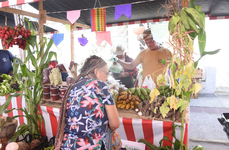 Feira da Agricultura Familiar acontece neste sábado (05) em Araçatiba