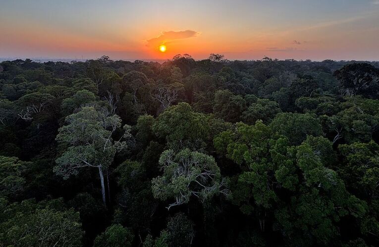 Instituto Clima e Sociedade lança edital para projetos que usam IA