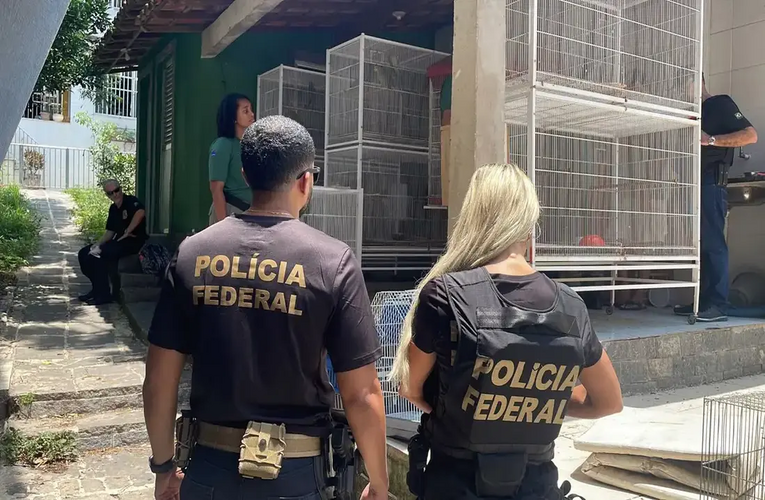 Mulheres policiais