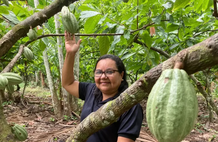 Bioeconomia impulsiona Amazônia rumo à COP30 com investimentos e inovação