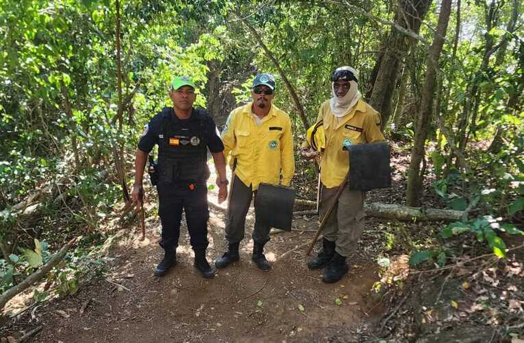 Guarda Municipal de Maricá evacua trilha durante incêndio no Morro do Elefante