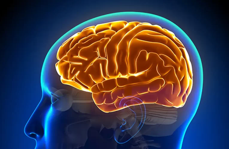 Entenda a hidrocefalia normobárica, causa da cirurgia de Chico Buarque