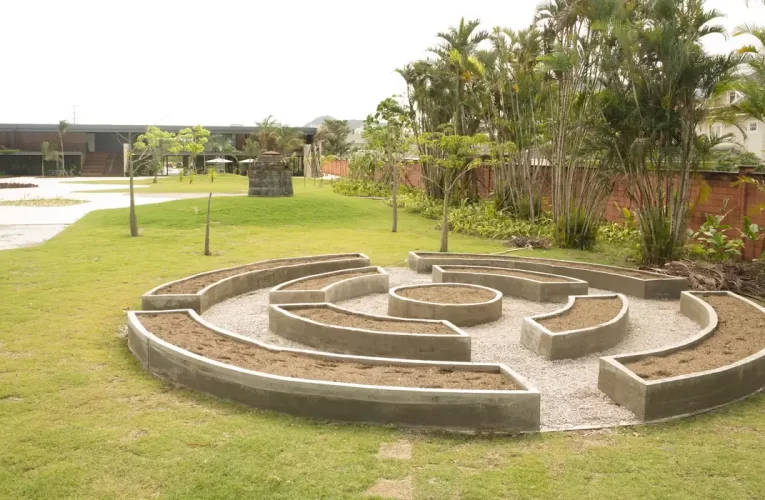 Museu do Pontal lança programação voltada à conscientização ambiental