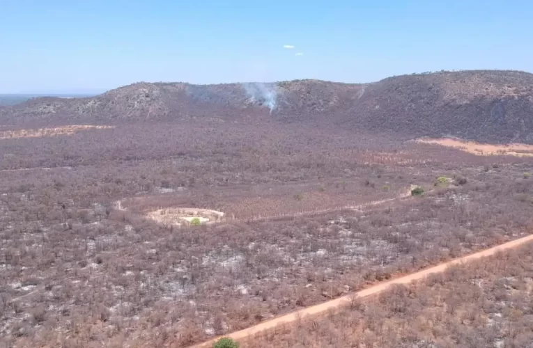 Nove estados registraram mais de 41 mil crimes ambientais em dois anos