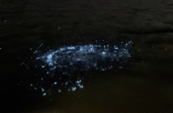 Fenômeno da ‘Lagoa Azul’ encanta Maricá e revela impacto de ações ambientais