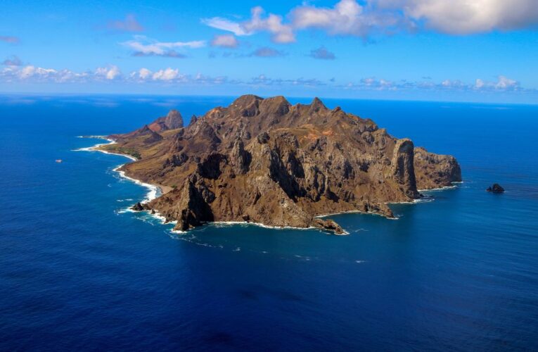 Ilha capixaba aumenta flora nativa e é modelo de restauração ambiental