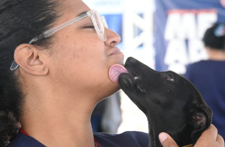Maricá realiza 10ª Feira de Adoções com mais de 80 animais disponíveis
