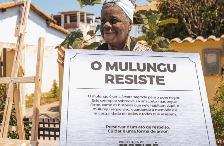 Prefeitura de Maricá homenageia Conceição Evaristo com ato simbólico e renascimento do Pé de Mulungu
