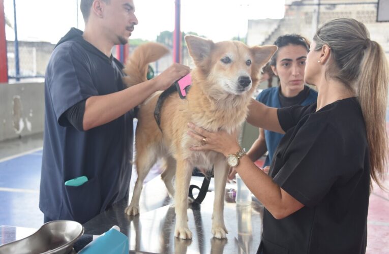 Maricá ultrapassa 5 mil castrações e se destaca em políticas de proteção animal em 2025