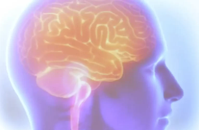 AVC mata uma pessoa a cada seis minutos no Brasil