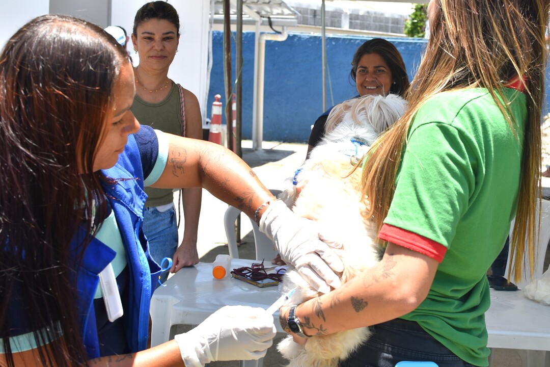 vacinação antirrábica, maricá, saúde animal, usf, raiva, campanha de vacinação, pets, secretaria de saúde